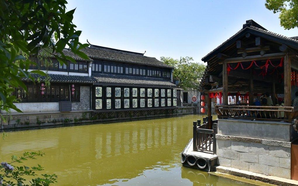 迷雾求生